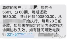 龙潭为什么选择专业追讨公司来处理您的债务纠纷？